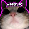 Haanz_[AR]-avatar