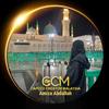 Amiza Abdullah [CCM]-avatar