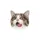 KITTY~~