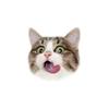 KITTY~~-avatar