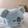 Namu Bear 🐨[LDR]