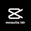 mnaulia [LDR]-avatar