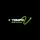 Tempo by saim 
