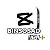 BINSOSAD💫-avatar