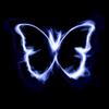 Butterfly Blue-avatar