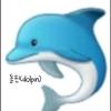 ☆돌핀(dolpin)🐬☆-avatar