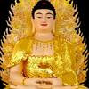Phật Pháp-avatar