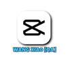 Wang Xiao [QA]-avatar