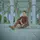 Shoaib_khan_offecial