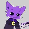 cat nap-avatar