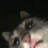 musmus [LDR]-avatar