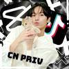 CN Priv-avatar