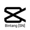 Bintang [SN]🎧-avatar