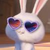 Nghị Thỏ Con🐰-avatar