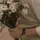 bts svt era