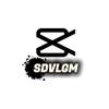 SDVLGM-avatar