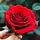 Faryal Ramzan