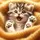 dalle.cat1004