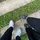 mchic_