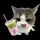 Zha[LDR]
