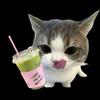 Zha[LDR]-avatar
