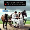Asif Gill3620-avatar