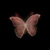 Butterfly [AR]-avatar