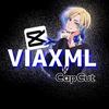 Viaxml-avatar