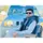 Mir Hassan Mir495