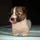 jhammy.com