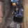 Paulin_171_