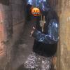 Paulin_171_-avatar