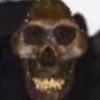 user846522762032-avatar