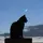 zara_the_cat
