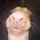 Katty