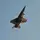 military jet geek 