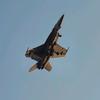 military jet geek -avatar