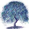 Willow-avatar