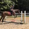 Thoroughbred_Lover-avatar