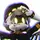 Ness