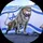 Dstvdd_bn