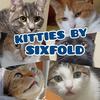 Kitties by Sixfold-avatar