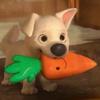 Mav-avatar