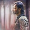 Team walking dead-avatar