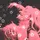 Mushr__mgrl.Flop Era
