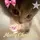 Jolly..jolly…LEXI
