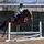 💞BMS_Equestrian💞