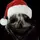 R@ndom(🎄era)