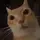 𝙳𝙰𝚁𝙻𝙻𝚈 ɢᴅⁱⁿᶠˡᵘ