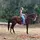 only horses 